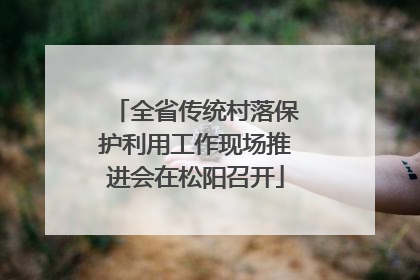 全省传统村落保护利用工作现场推进会在松阳召开