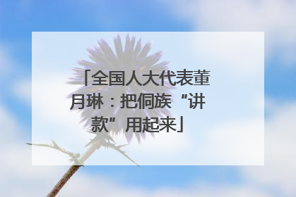 全国人大代表董月琳：把侗族“讲款”用起来