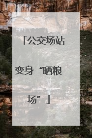 公交场站变身“晒粮场”