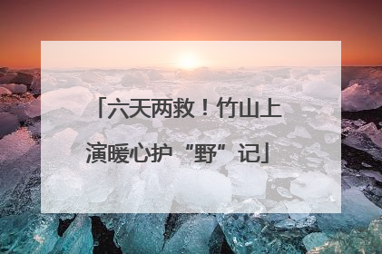 六天两救！竹山上演暖心护“野”记