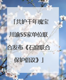 共护千年瑰宝 川渝55家单位联合发布《石窟联合保护倡议》