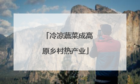 冷凉蔬菜成高原乡村热产业