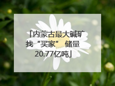 内蒙古最大碱矿找“买家” 储量20.77亿吨