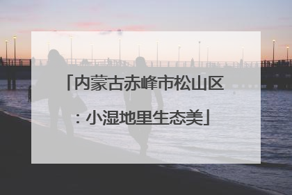 内蒙古赤峰市松山区：小湿地里生态美