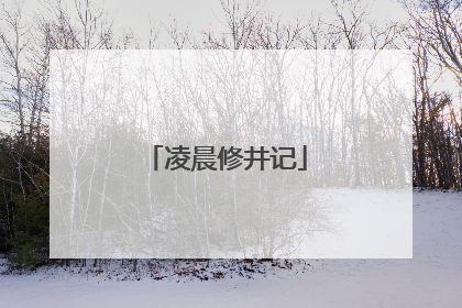 凌晨修井记