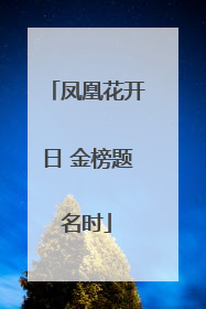 凤凰花开日 金榜题名时
