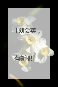 刘会英，有新职