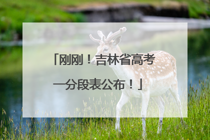 刚刚！吉林省高考一分段表公布！
