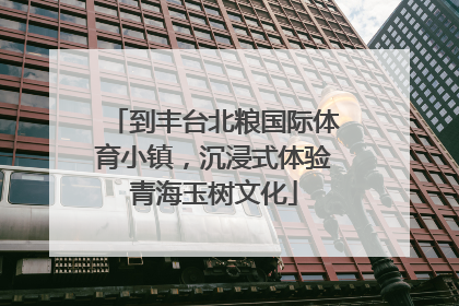 到丰台北粮国际体育小镇，沉浸式体验青海玉树文化