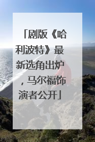 剧版《哈利波特》最新选角出炉，马尔福饰演者公开