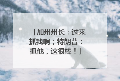加州州长：过来抓我啊；特朗普：抓他，这很棒！