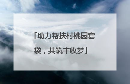 助力帮扶村桃园套袋，共筑丰收梦