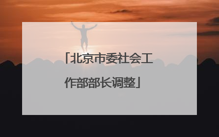 北京市委社会工作部部长调整