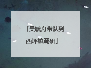 吴毓舟带队到西坪镇调研