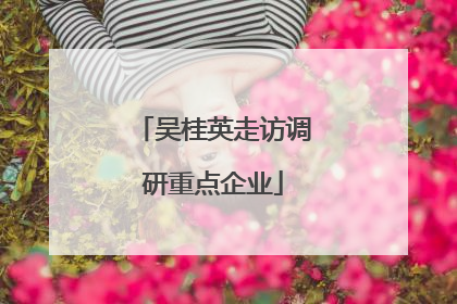 吴桂英走访调研重点企业