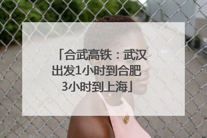 合武高铁：武汉出发1小时到合肥3小时到上海