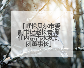 呼伦贝尔市委副书记赵长青调任内蒙古水发集团董事长