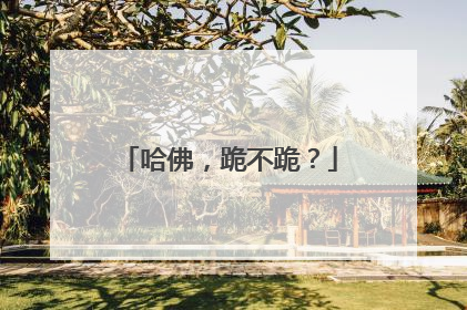 哈佛，跪不跪？