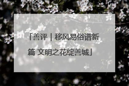 善评｜移风易俗谱新篇 文明之花绽善城