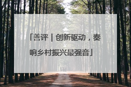 善评｜创新驱动，奏响乡村振兴最强音