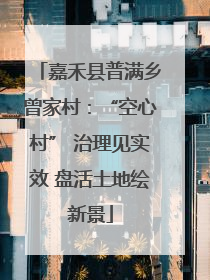 嘉禾县普满乡曾家村：“空心村” 治理见实效 盘活土地绘新景