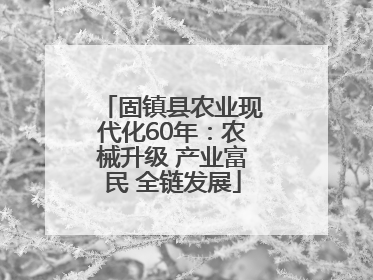 固镇县农业现代化60年：农械升级 产业富民 全链发展