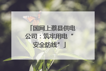 国网上蔡县供电公司：筑牢用电“安全防线”