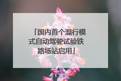国内首个混行模式自动驾驶试验铁路场站启用