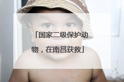 国家二级保护动物，在南昌获救
