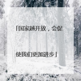 国家越开放，会促使我们更加进步