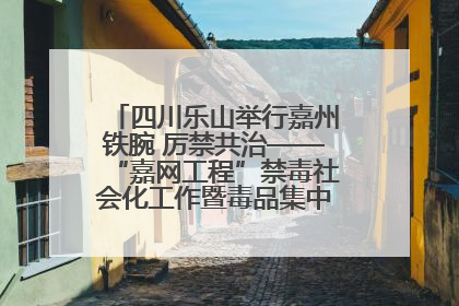四川乐山举行嘉州铁腕 厉禁共治——“嘉网工程”禁毒社会化工作暨毒品集中销毁启动仪式