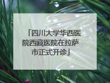 四川大学华西医院西藏医院在拉萨市正式开诊