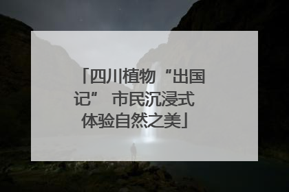 四川植物“出国记” 市民沉浸式体验自然之美