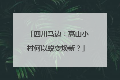 四川马边：高山小村何以蜕变焕新？