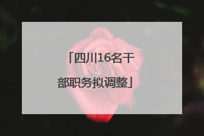 四川16名干部职务拟调整