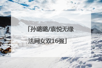 孙璐璐/袁悦无缘法网女双16强