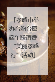 孝感市举办台胞台属端午联谊暨“美丽孝感行”活动