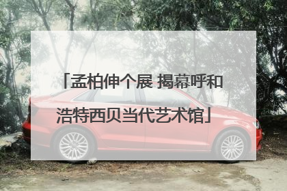 孟柏伸个展 揭幕呼和浩特西贝当代艺术馆