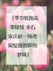 季节转角花事接续 来石家庄赴一场鸢尾绽放的彩色梦境