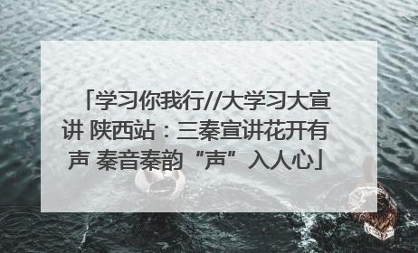 学习你我行//大学习大宣讲 陕西站：三秦宣讲花开有声 秦音秦韵“声”入人心