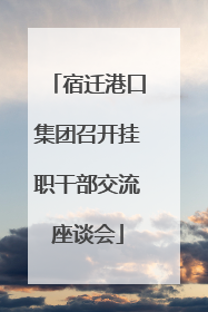 宿迁港口集团召开挂职干部交流座谈会