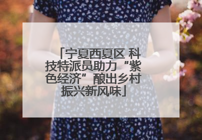 宁夏西夏区 科技特派员助力“紫色经济”酿出乡村振兴新风味
