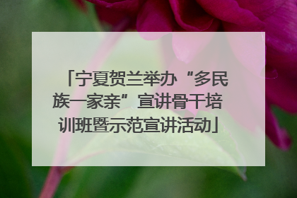 宁夏贺兰举办“多民族一家亲”宣讲骨干培训班暨示范宣讲活动