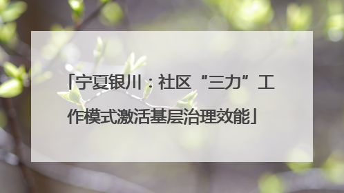宁夏银川：社区“三力”工作模式激活基层治理效能