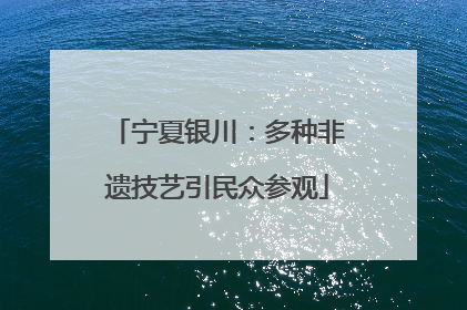 宁夏银川：多种非遗技艺引民众参观