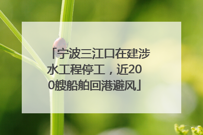 宁波三江口在建涉水工程停工，近200艘船舶回港避风
