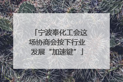 宁波奉化工会这场协商会按下行业发展“加速键”