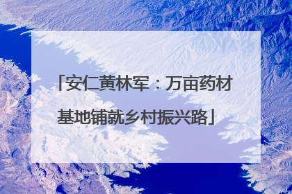 安仁黄林军：万亩药材基地铺就乡村振兴路