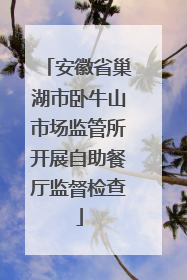 安徽省巢湖市卧牛山市场监管所开展自助餐厅监督检查