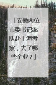 安徽两位市委书记率队赴上海考察，去了哪些企业？